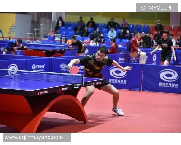 上海乒乓球队在联合会杯中的强势表现与未来发展潜力分析 上海乒乓球队在联合会杯中的强势表现与未来发展潜力分析