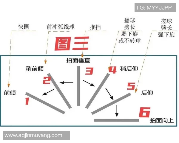 乒乓球战术揭秘:深入重庆乒乓球队的训练与比赛策略探讨 乒乓球战术揭秘:深入重庆乒乓球队的训练与比赛策略探讨