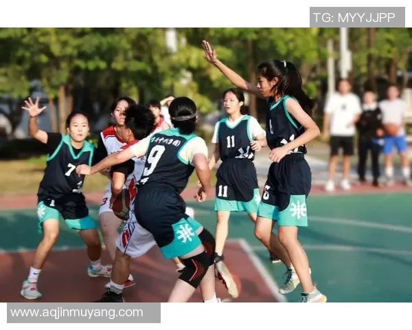 深圳篮球队强势崛起力量排行榜中荣登第八名引发关注