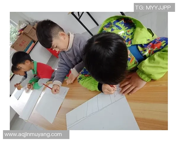 专访杨芳：探寻她在篮球领域取得成功的秘诀与心路历程