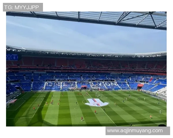 在绿茵场上书写传奇豪华足球的梦想与激情