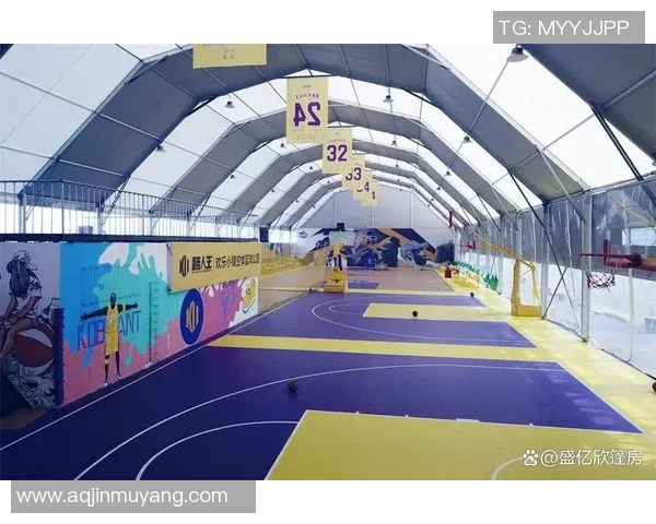 室内足球场改建项目探索提升运动体验与空间利用效率的创新方案