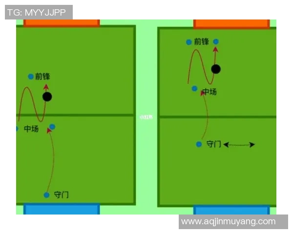 提升你的足球体验揭秘switch足球配件的多样选择与使用技巧 提升你的足球体验揭秘switch足球配件的多样选择与使用技巧