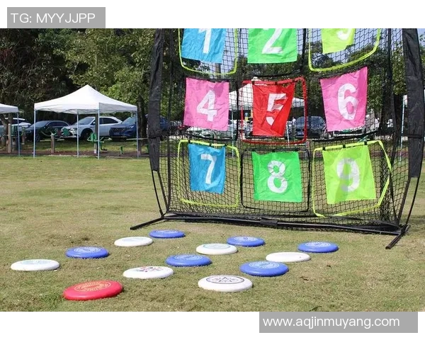 杭州飞盘队与西安飞盘队赛后复盘分析个人能力与团队配合的关键因素 杭州飞盘队与西安飞盘队赛后复盘分析个人能力与团队配合的关键因素