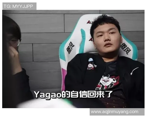 精英赛分析：JDG战术布局与团队协作的深度剖析