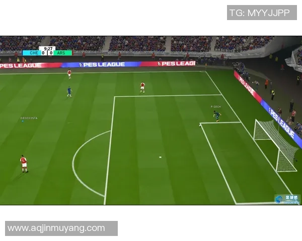 足球公猫的奇妙冒险与球场上的友谊故事