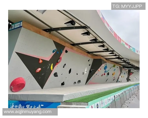 西安极限运动队在攀岩联赛中的战术分析与表现评估