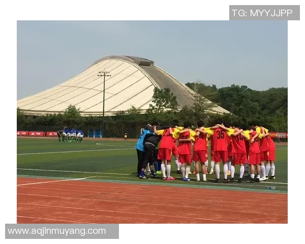 蚌埠足球传染现象引发的社会关注与体育文化反思探讨