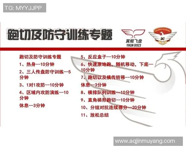 西安飞盘队区域防守战术解析与实战应用探讨