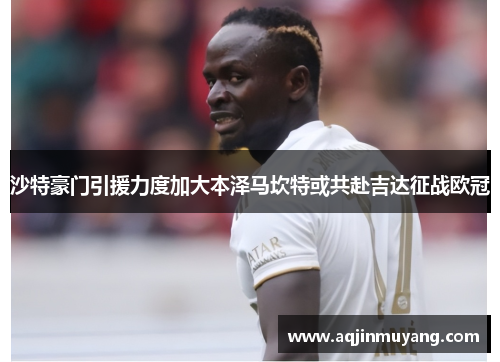 沙特豪门引援力度加大本泽马坎特或共赴吉达征战欧冠