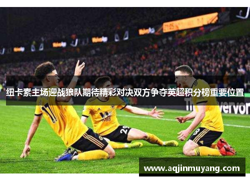 纽卡素主场迎战狼队期待精彩对决双方争夺英超积分榜重要位置